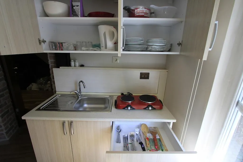 Coskun House Apartment Istanbul 0*,