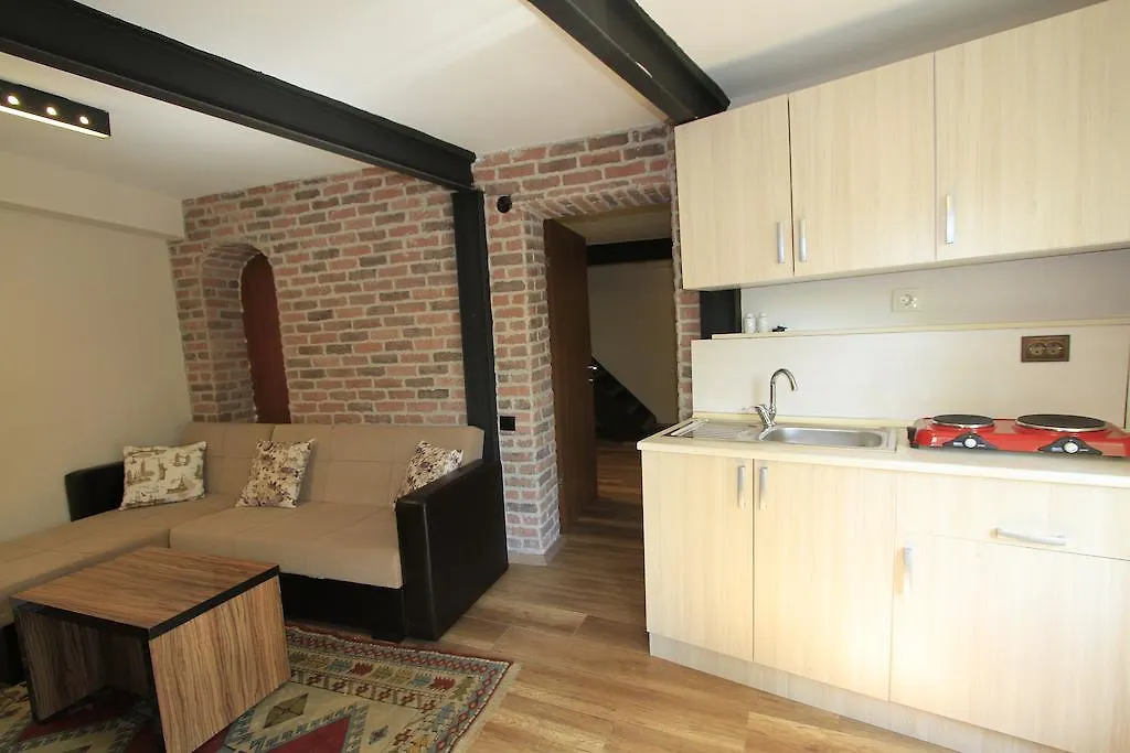 Coskun House Apartment Istanbul 0*,