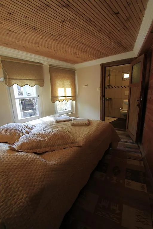 Coskun House Apartment Istanbul