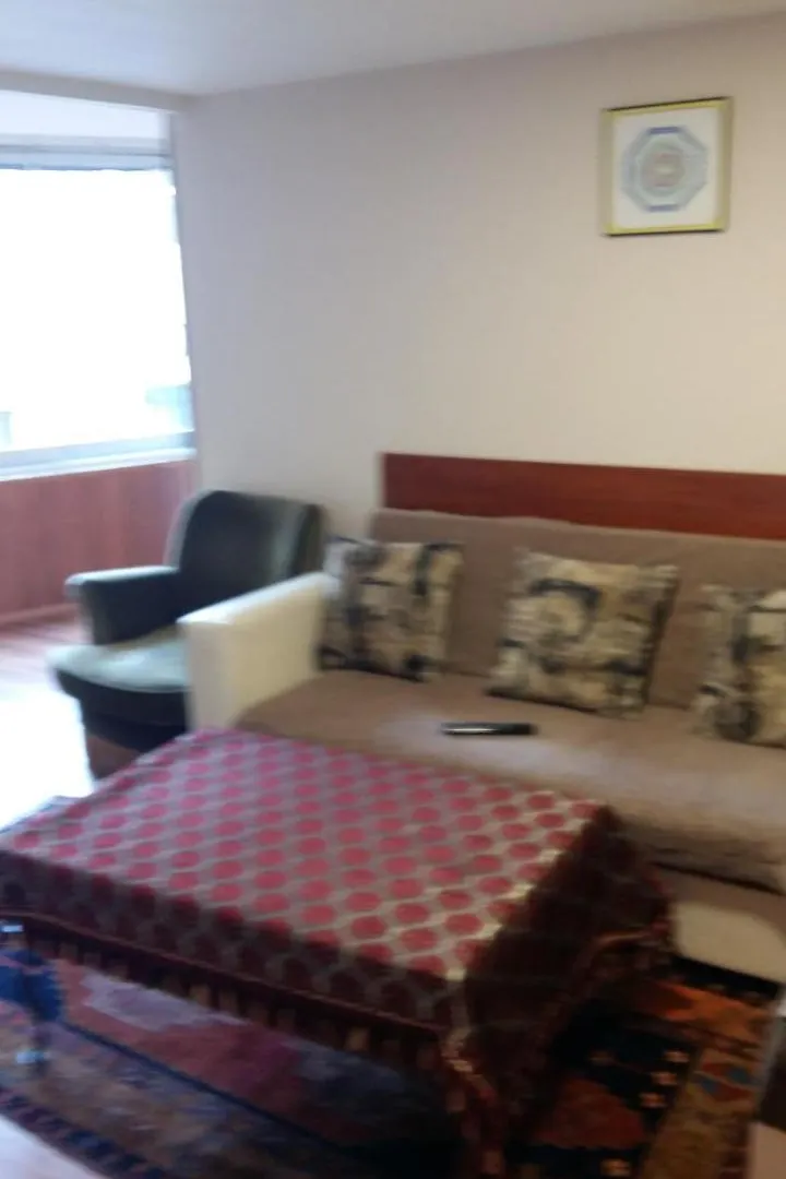 Coskun House Apartment Istanbul Turkey